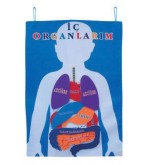 Cırtlı Organ Panosu