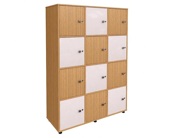 Student Cabinet (12 door) Student Cabinet (12 door)